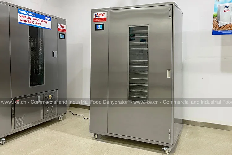 WRH-100G High Temperature Commercial Meat Dryer Oven Machine