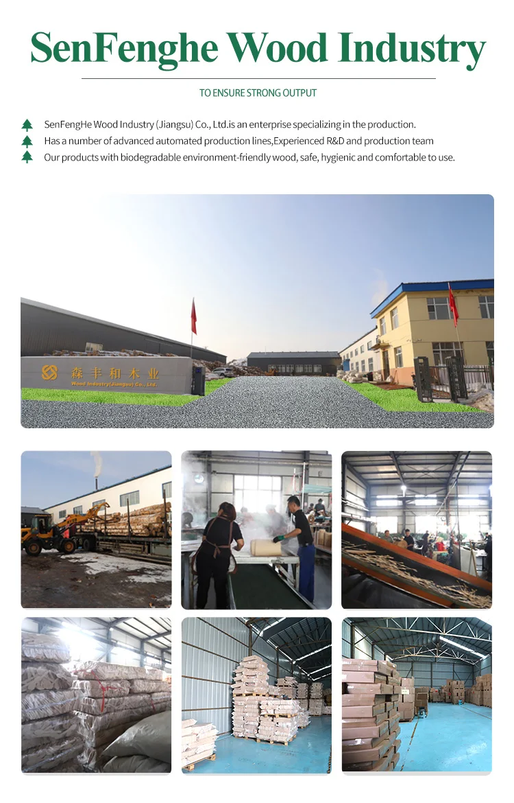 Disposable 114*10*2mm Biodegradable Creativity Colorful Long Wood