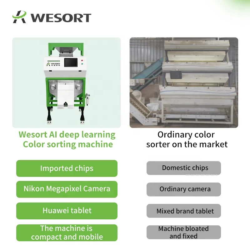 WESORT Manufacturer Automatic LDPE Plastic Recycling Machine ABS PP PE PVC Color Sorter for PET EPS BOPP Plastic Types