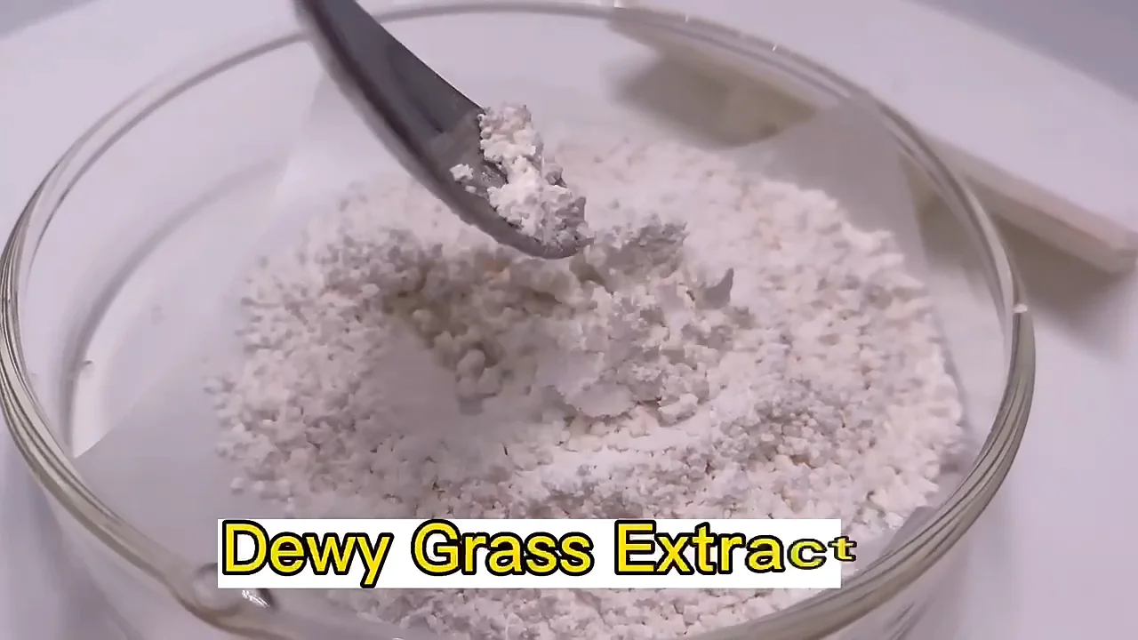 Beta Ecdysterone Powder 50 98 Cyanotis Arachnoidea Extract Bulk