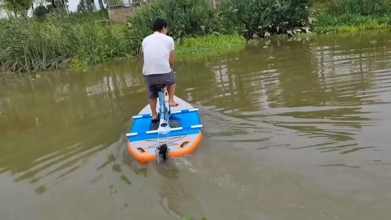 Inflatable Water River Sea Bike Swan Pedal Boat Tandem Bicycle Bike