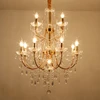 12 Lights