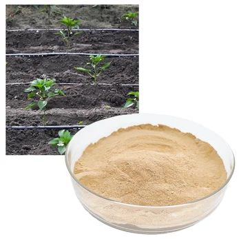NATURAL WATER SOLUBILITY FISH PROTEIN FERTILIZER DEEP SEA FISH MEAL FISH PROTEIN AMINO ACID FERTILIZER IMPROVE SOIL