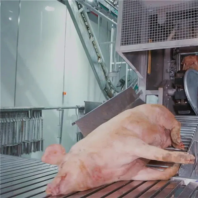 Pig blood collection and slaughtering equipment slaughterhouse production line automatic bloodletting flat conveyor
