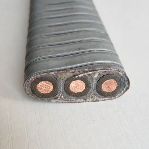 ESP Submersible Pump with Capillary Cable Oil Power Flat Cable