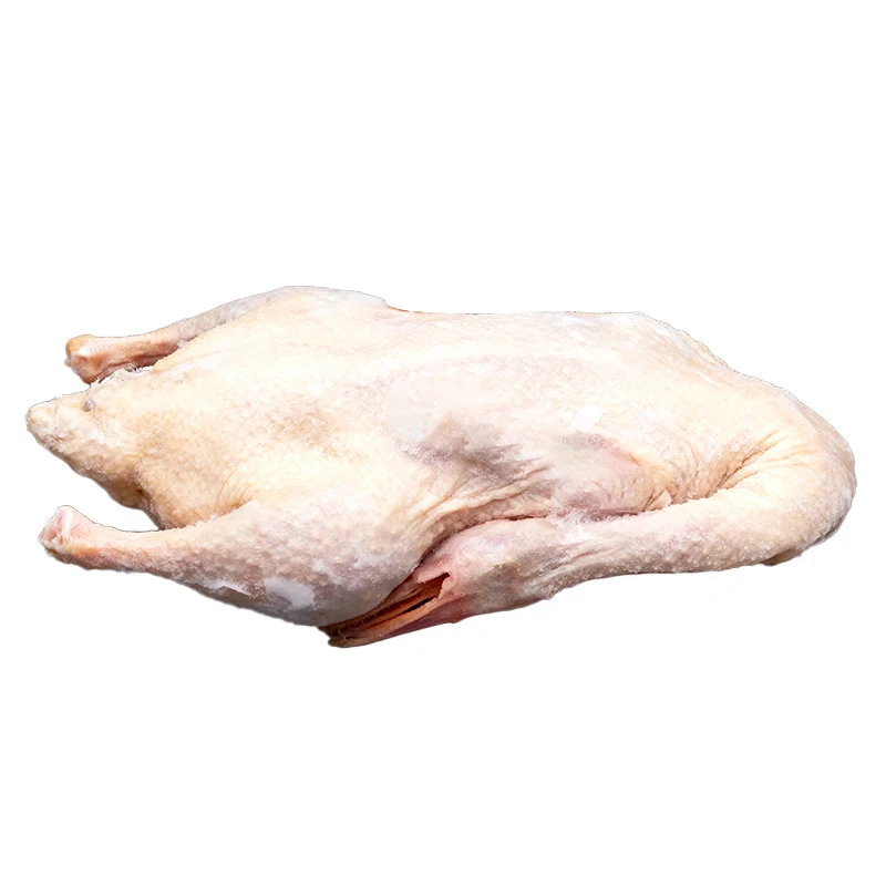 Wholesale Fresh Frozen Poultry High Quality Duck Breast Meat for Export