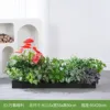 Caja de Flores de 100cm para que todo vaya bien