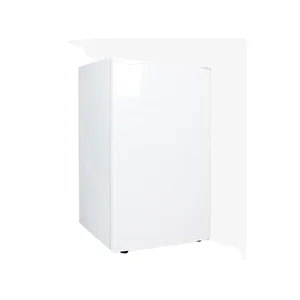 Hot Sale 108L Single Door Portable Refrigerator with Freezer for Commerical Household Use