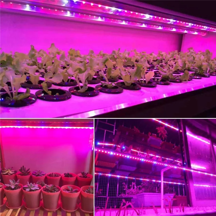 LED Grow Lights - Full Spectrum USB Strip Lights for Plants
