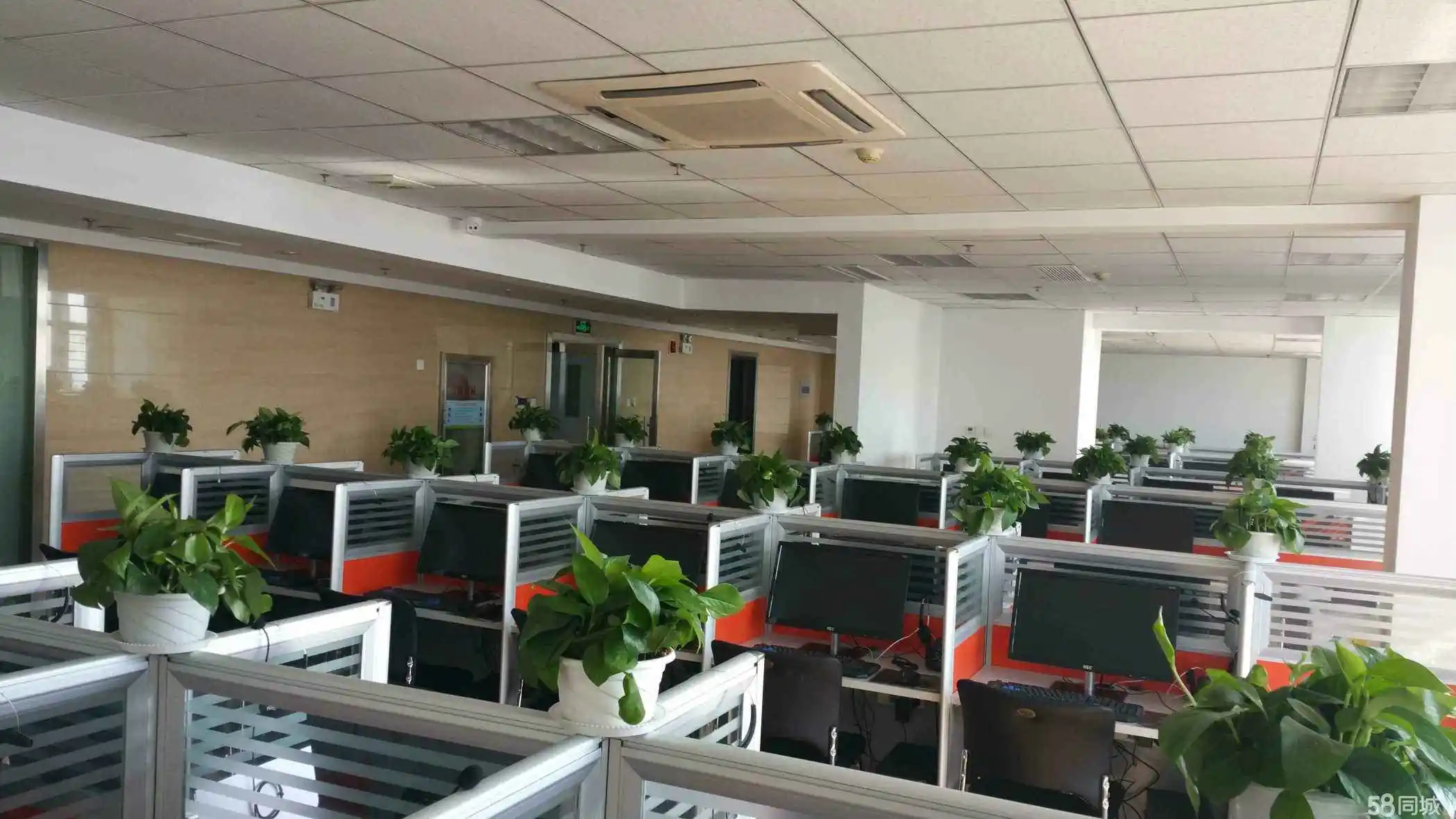 Shandong Nanqi Sea Food Trade Co., Ltd. 2