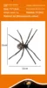 Soft rubber spider with light
