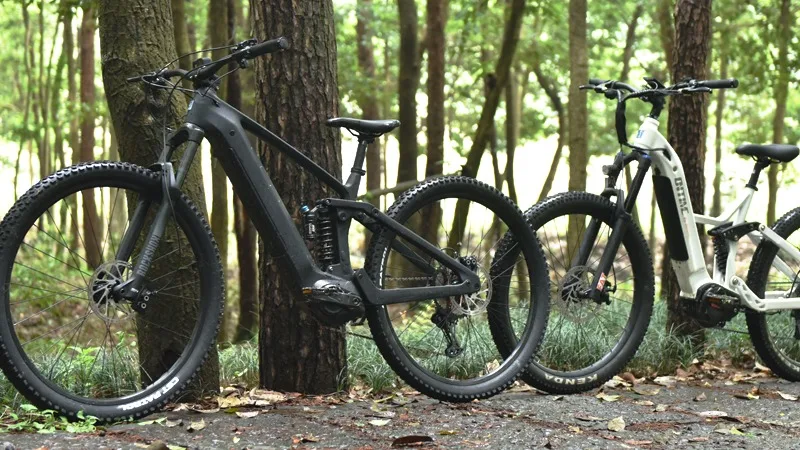 Dirt MTB Carbon