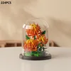 Chrysanthème épineux