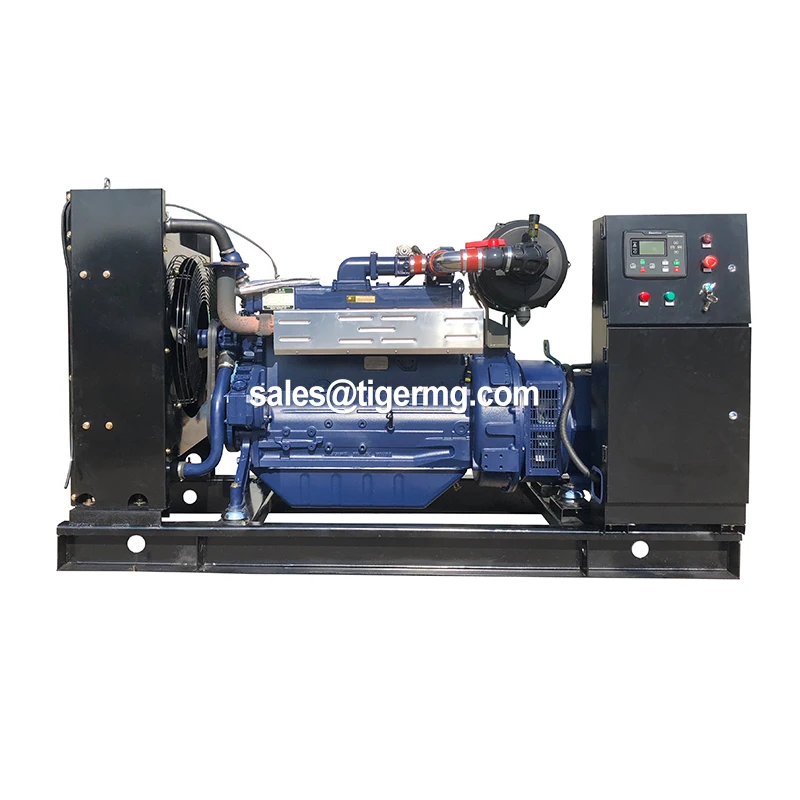 50kw 1000kw Farm Hydrogen Generation From by Mobile Biomass Methane Power Generating Plant Generator Combustion