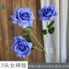 3-headed goddess rose WY blue-purple