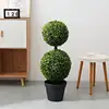 Arachide vivace-85cm