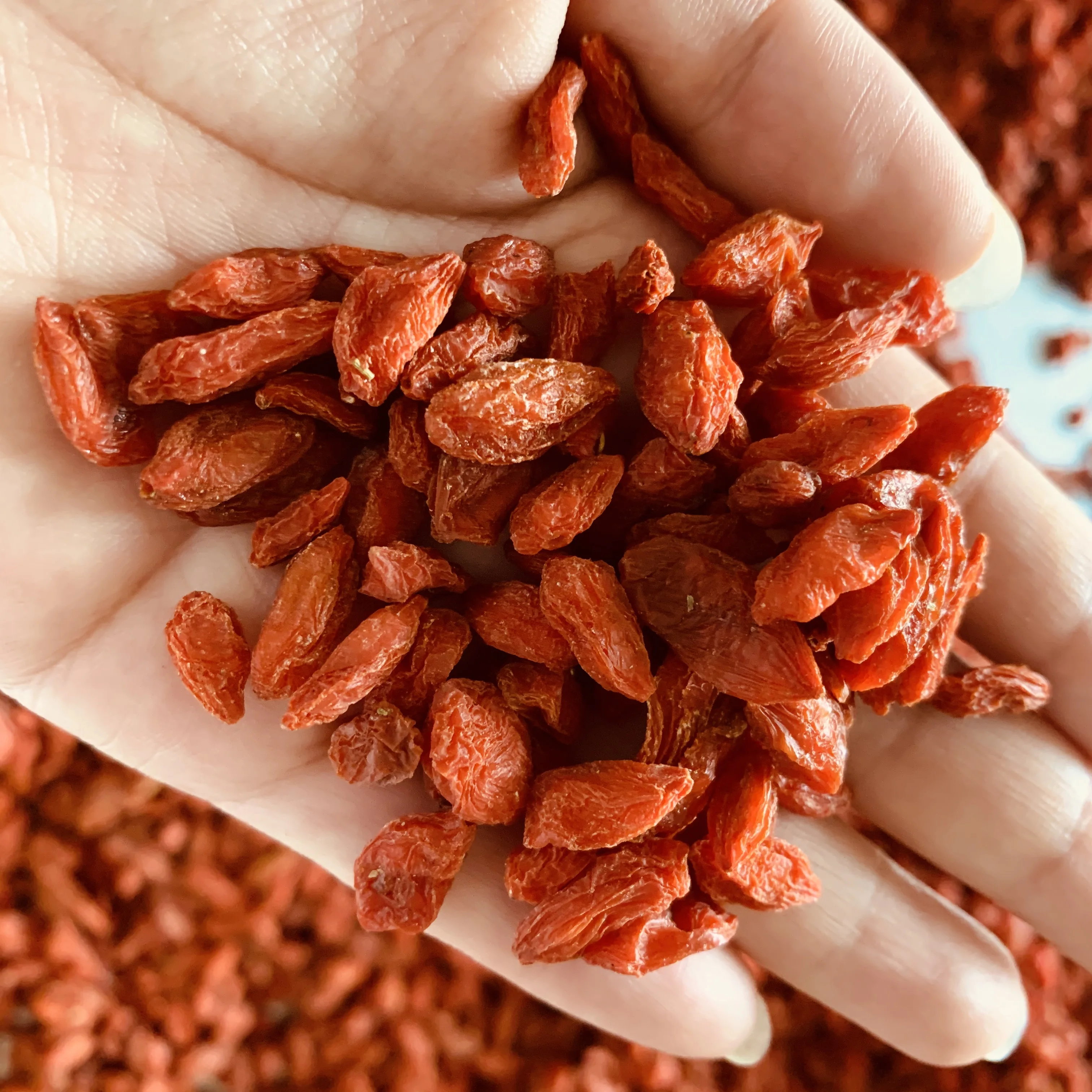 100% natural organic dried goji berry sun dried pure