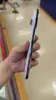 Púrpura