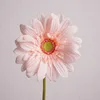Pink2