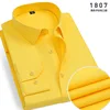 1807-Dorato