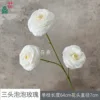 Three-headed Bubble Rose XWJ White