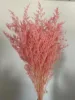 rosa carne