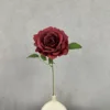 Rosso scuro