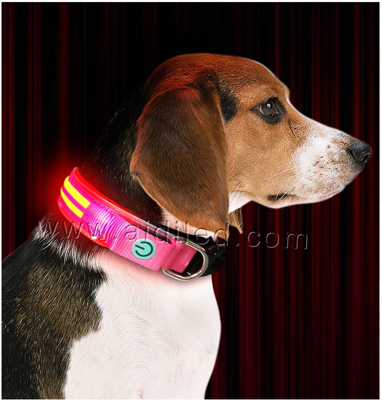 dog collar light (8).jpg