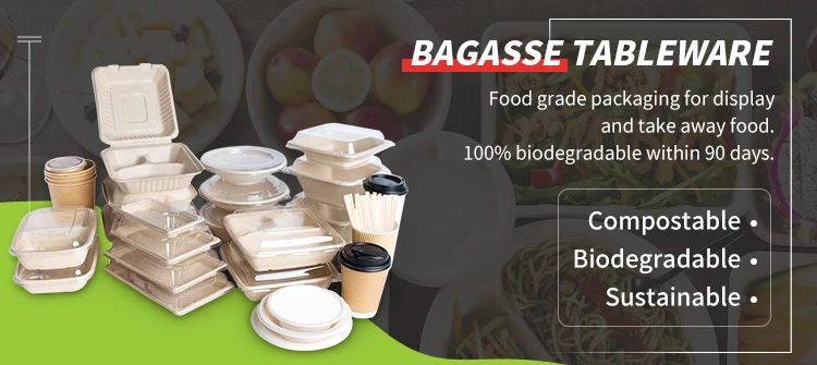 24cm 600ml Biodegradable to Go Containers Food Tub Eco Friendly ...