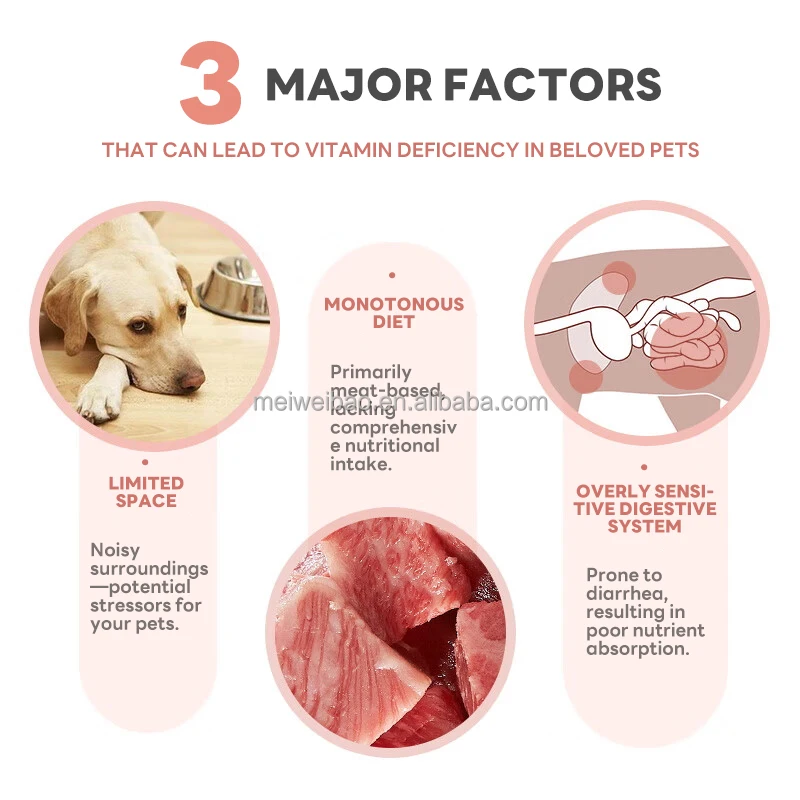 N4p Multivitamin Chewable Pet Dog Vitamin Supplement Vitamina Vitamine