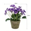 Viola scuro