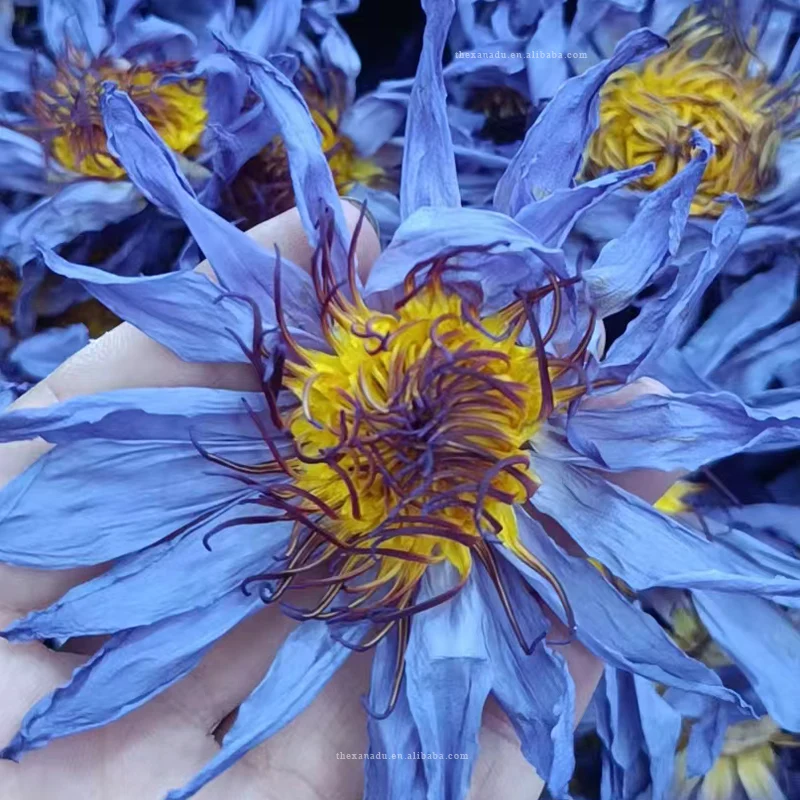 100% EU Standard Organic Dried Blue Lotus Flowers Wholesale