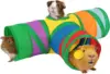 Arc-en-ciel