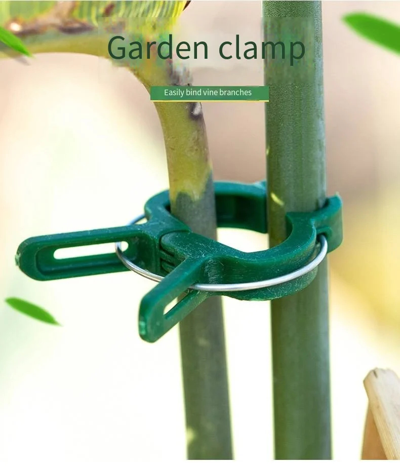 Fixed clip rose climbing vine tomato cucumber buckle seedling vegetable flower stand pole plant binding vine clip support frame details