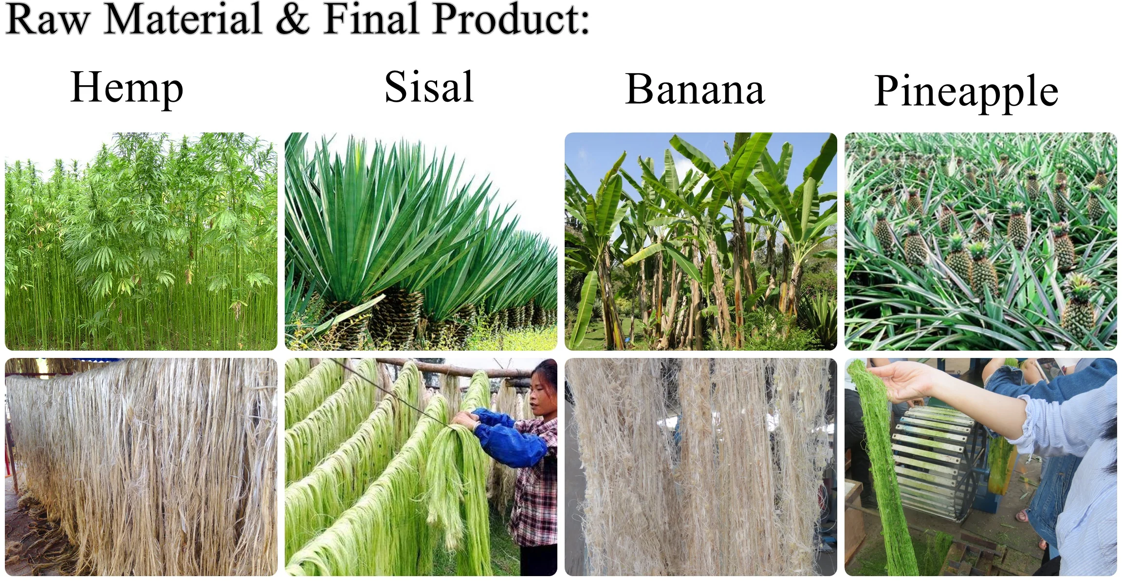 Banana Stem Chip Fiber Processing Machinery Buy Banana Fiber