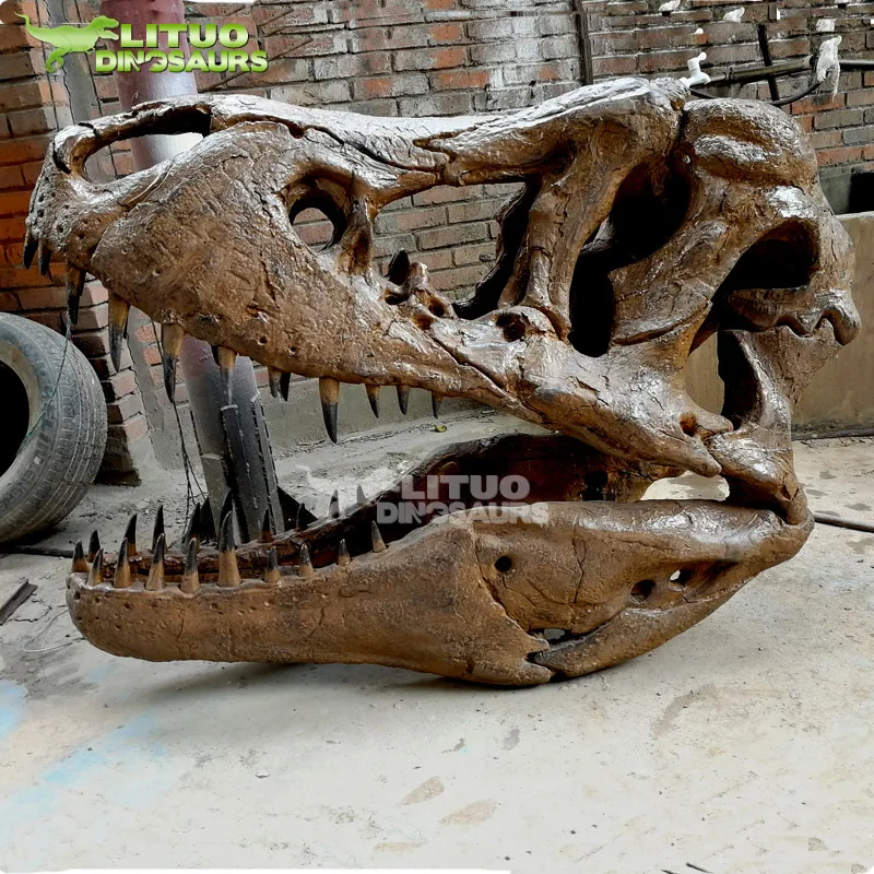 Esqueleto Dinossauro T-rex - ( quebra cabeça ) 60cm - Escorrega o Preço