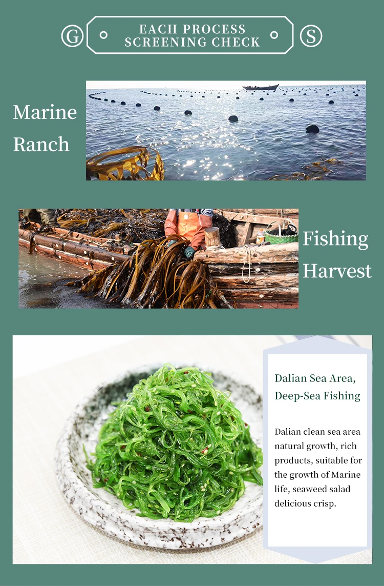 Frozen Seasoned Seaweed Salad Goma Wakame 1 Kg 500g Buy Frozen Goma