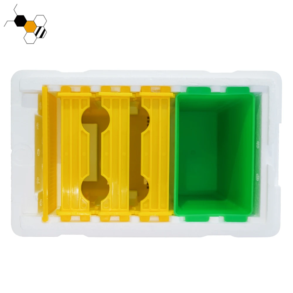 Beekeeping Styrofoam Mini Mating Boxes Mini Foam Bee Hives Buy