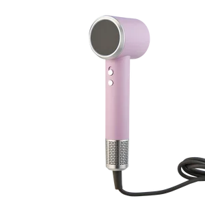 Professional Hair Dryer Durable Lightweight Design Low Noise Technology for Home Hotel Use