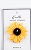 Chamomile Orange