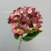 ไฮเดรนเยียจำลอง 3 มิติ - สีแดง