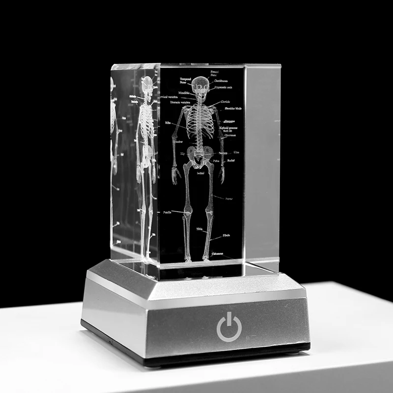 3Dクリスタルガラス人体骨格立体レーザー彫刻キューブ文鎮