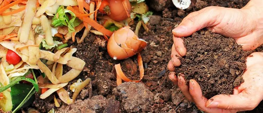 Five environmental issues affecting the world