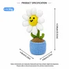 Plante en pot marguerite