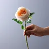 แชมเปญ