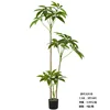 Árbol del dinero, 150 cm (viene con base negra)