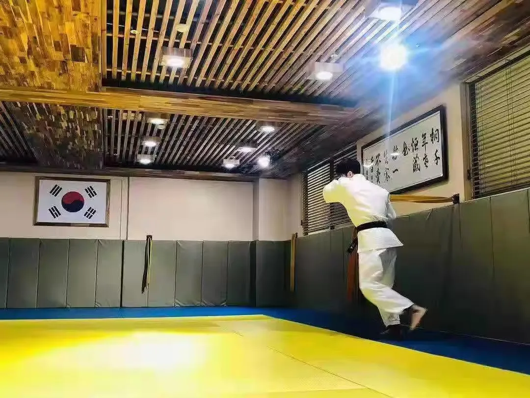 Professional Judo Tatami Wrestling Crash Mats 4cm 5cm 6cm For Sale Buy Oem Sport Mat Judo Mat