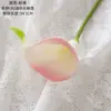 Pink green