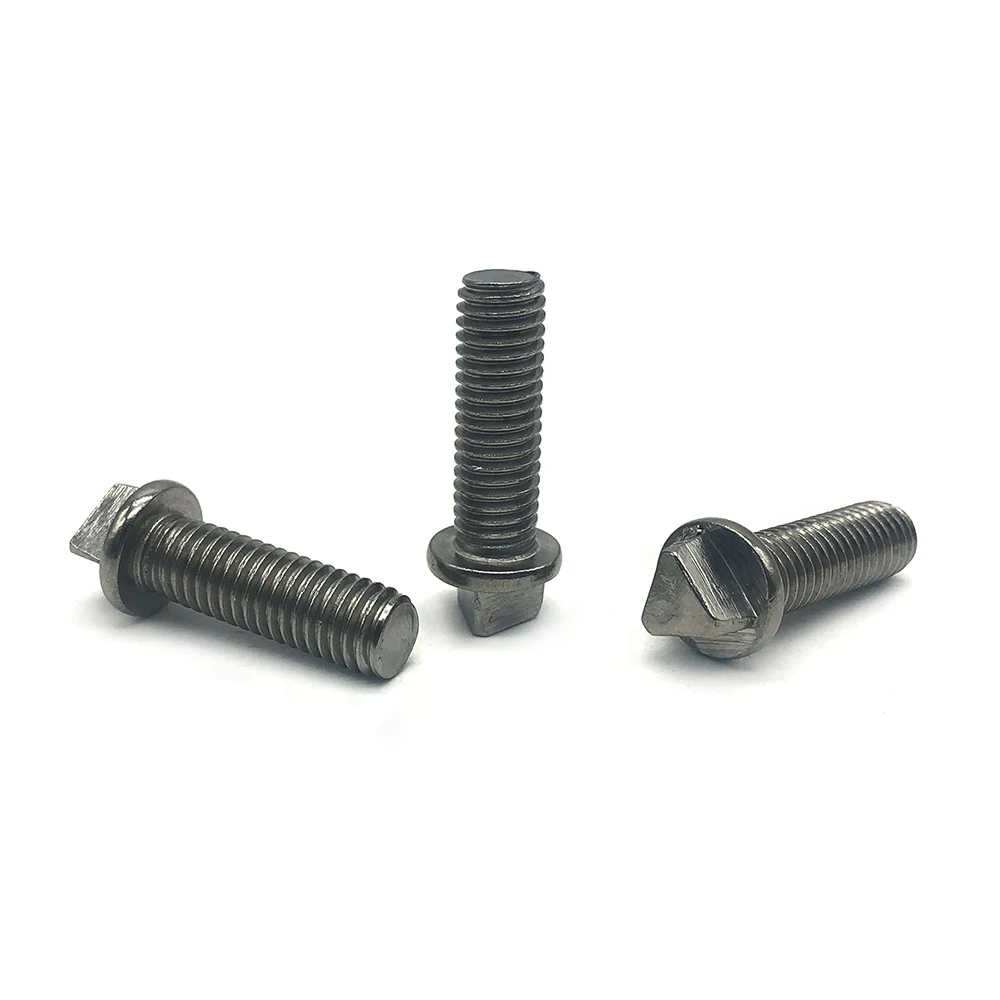 SS304 SS316 Custom Rvs Twee Gaten Snake Ogen Anti-Diefstal Beveiliging Schroef