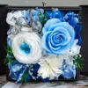 Bleu bicolore